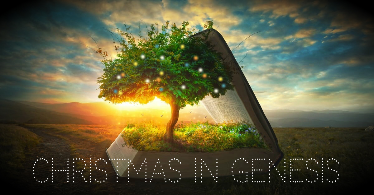 Christmas in Genesis Part 4 Hagerman Baptist Church